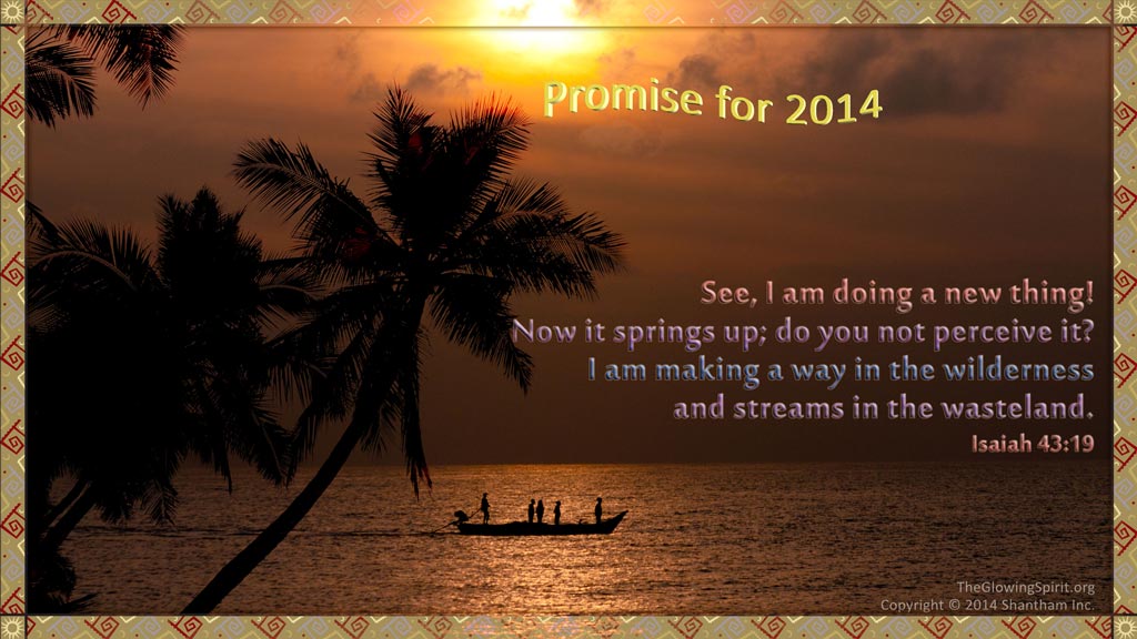 Promise for the New Year 2014
